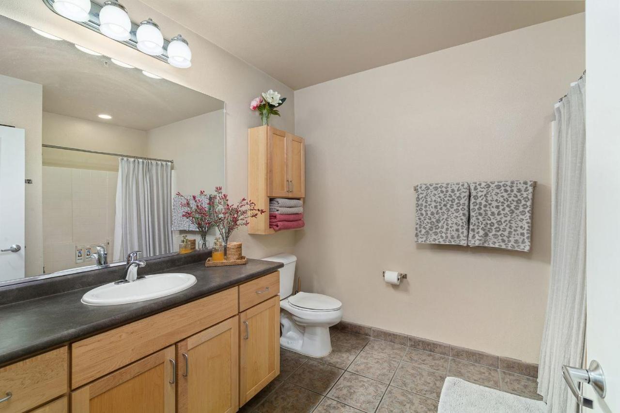 Beautiful Cozy In Downtown San Diego